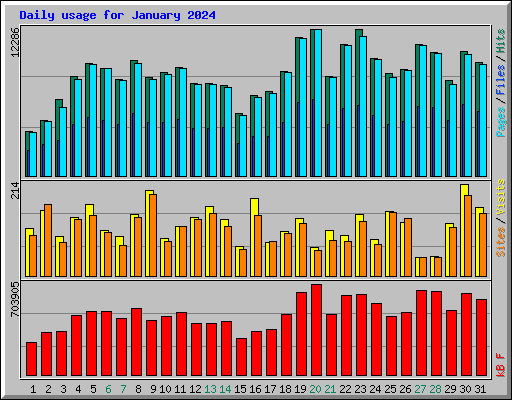 Daily usage for January 2024