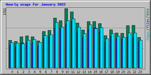 Hourly usage for January 2022