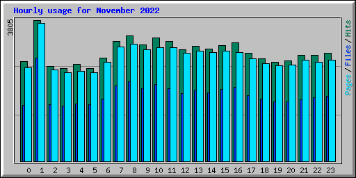 Hourly usage for November 2022