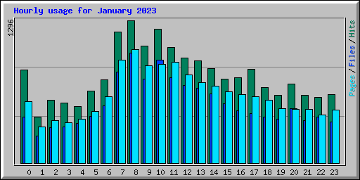 Hourly usage for January 2023