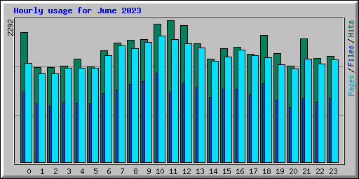 Hourly usage for June 2023