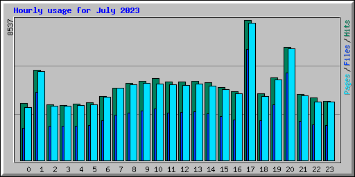 Hourly usage for July 2023