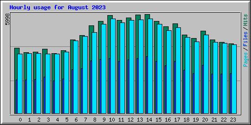 Hourly usage for August 2023