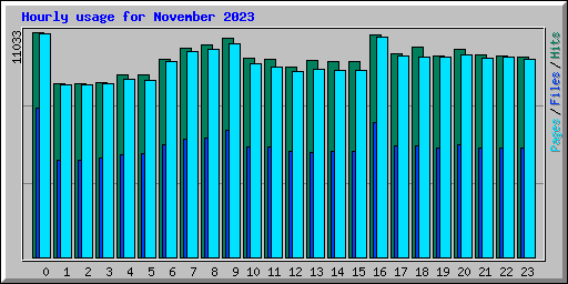 Hourly usage for November 2023