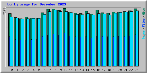 Hourly usage for December 2023