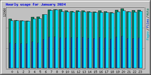 Hourly usage for January 2024