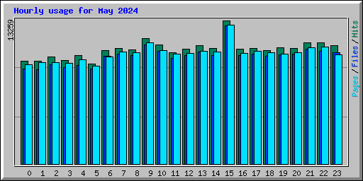 Hourly usage for May 2024