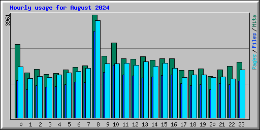 Hourly usage for August 2024