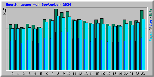 Hourly usage for September 2024