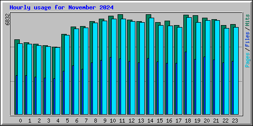 Hourly usage for November 2024