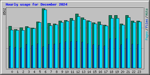 Hourly usage for December 2024