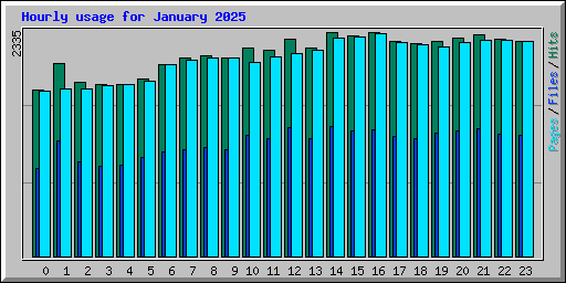 Hourly usage for January 2025