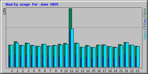 Hourly usage for June 2025