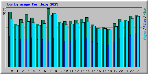 Hourly usage for July 2025