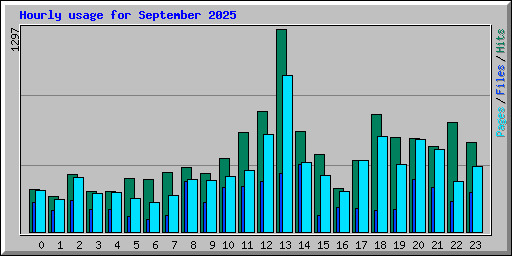 Hourly usage for September 2025