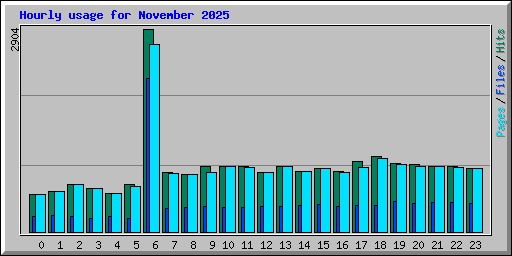 Hourly usage for November 2025
