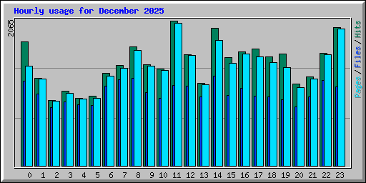 Hourly usage for December 2025