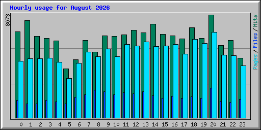 Hourly usage for August 2026