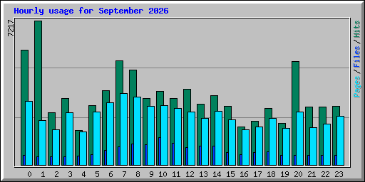 Hourly usage for September 2026