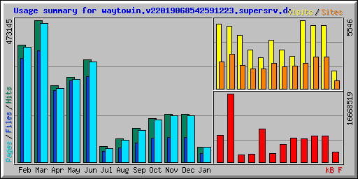 Usage summary for waytowin.v22019068542591223.supersrv.de